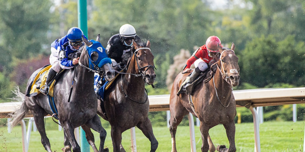 carreras de caballos